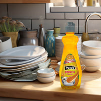 Kitchen Cleaning Essentials